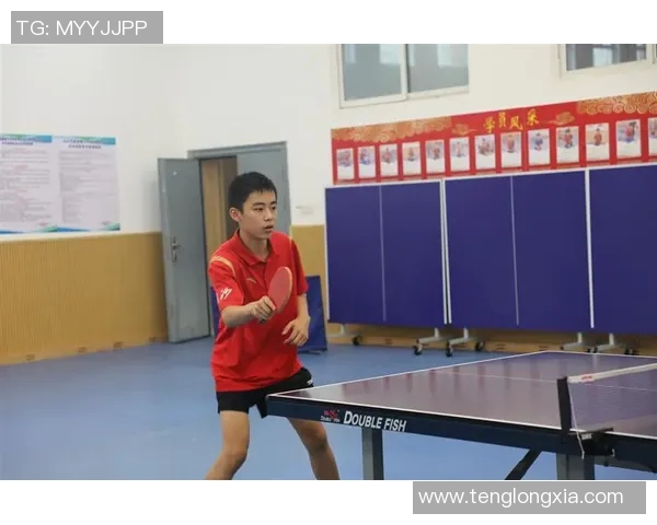 杨伟独家分享乒乓球技巧与心得助你提升球技的全面指南